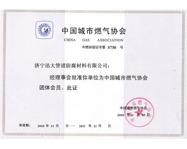 中國(guó)城市燃?xì)鈪f(xié)會(huì)(圖1)